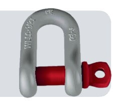 Dee Shackles (TOYO)