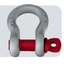 Dee Shackles (TOYO)